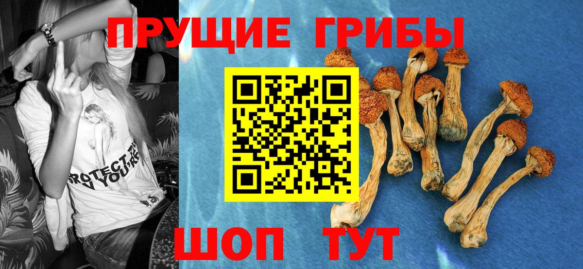 Псилоцибиновые грибы Cubensis  Вход с VPN  Псилоцибиновые грибы MAGIC MUSHROOMS  Сухой Лог 