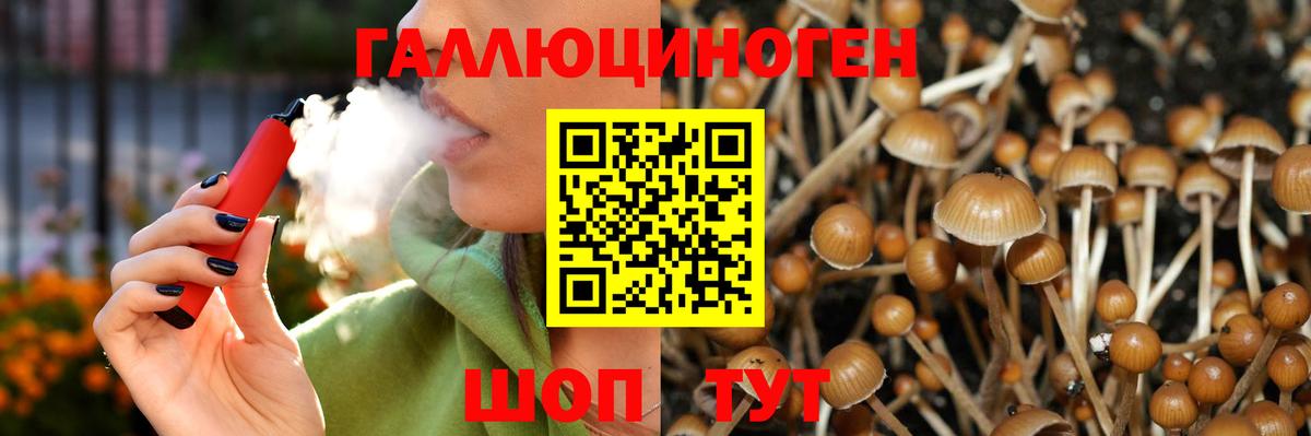 Галлюциногенные грибы Psilocybe Сухой Лог